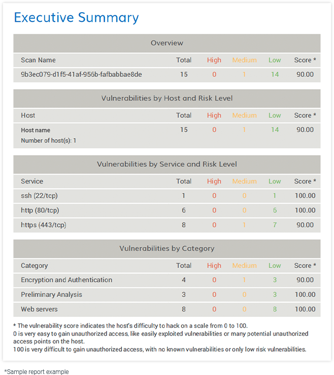 Report Screen Vulnerability